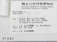 登錄號:F0001046藏品圖，第3張