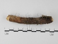登錄號:F0001046藏品圖，第4張