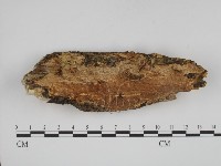 登錄號:F0001047藏品圖，第1張