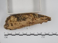 登錄號:F0001047藏品圖，第3張