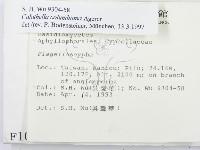 登錄號:F0001048藏品圖，第2張