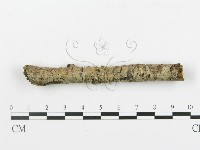 登錄號:F0001048藏品圖，第1張