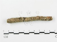 登錄號:F0001048藏品圖，第4張