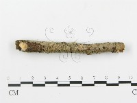 登錄號:F0001048藏品圖，第6張
