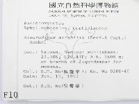 登錄號:F0001049藏品圖，第2張