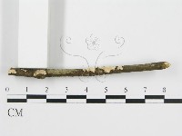 登錄號:F0001049藏品圖，第4張