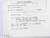 館號:F0001050藏品圖，第2張