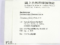 登錄號:F0001051藏品圖，第2張