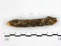 登錄號:F0001051藏品圖，第1張