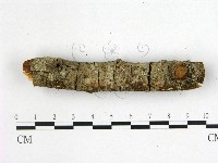 登錄號:F0001051藏品圖，第3張