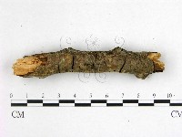 登錄號:F0001051藏品圖，第4張