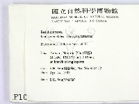 登錄號:F0001052藏品圖，第2張
