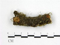 登錄號:F0001052藏品圖，第1張