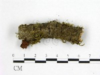 登錄號:F0001052藏品圖，第3張