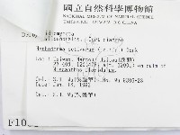 硬孔菌屬藏品圖，第3張