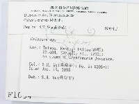 登錄號:F0001054藏品圖，第2張