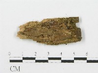 登錄號:F0001054藏品圖，第1張