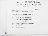 登錄號:F0001055藏品圖，第2張