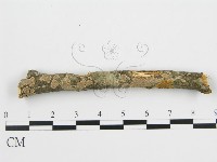 登錄號:F0001055藏品圖，第4張