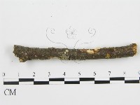 登錄號:F0001055藏品圖，第6張