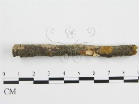 登錄號:F0001055藏品圖，第7張