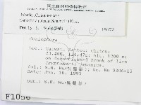 登錄號:F0001056藏品圖，第2張