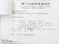 登錄號:F0001056藏品圖，第3張