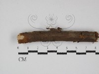 登錄號:F0001057藏品圖，第1張