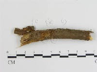 登錄號:F0001057藏品圖，第3張