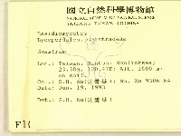 地星屬藏品圖，第2張