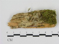 登錄號:F0001059藏品圖，第1張