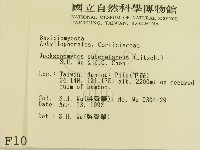 登錄號:F0001060藏品圖，第2張