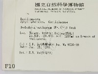 剛毛絲皮菌藏品圖，第2張