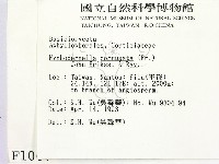 登錄號:F0001067藏品圖，第2張