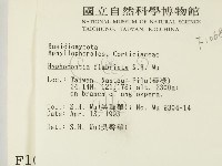 登錄號:F0001068藏品圖，第2張