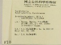 登錄號:F0001069藏品圖，第2張