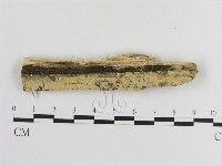 登錄號:F0001070藏品圖，第1張