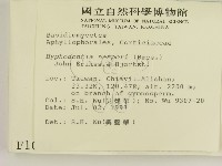 登錄號:F0001071藏品圖，第2張