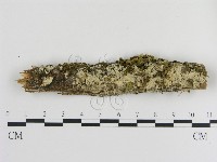 登錄號:F0001071藏品圖，第1張
