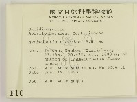 登錄號:F0001072藏品圖，第2張