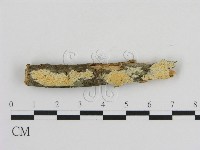 登錄號:F0001072藏品圖，第1張