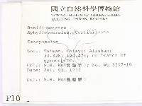 登錄號:F0001074藏品圖，第2張