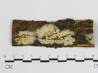 登錄號:F0001074藏品圖，第1張