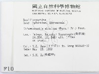 登錄號:F0001075藏品圖，第2張