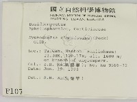 登錄號:F0001076藏品圖，第2張