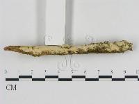 登錄號:F0001076藏品圖，第1張