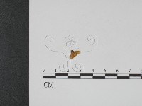 登錄號:F0001078藏品圖，第1張