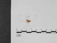 登錄號:F0001078藏品圖，第3張