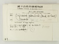 登錄號:F0001079藏品圖，第2張