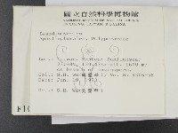 登錄號:F0001080藏品圖，第2張